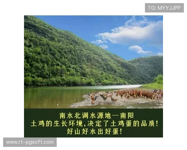 俱乐部环保官员谈绿色运营目标实现 俱乐部环保官员谈绿色运营目标实现